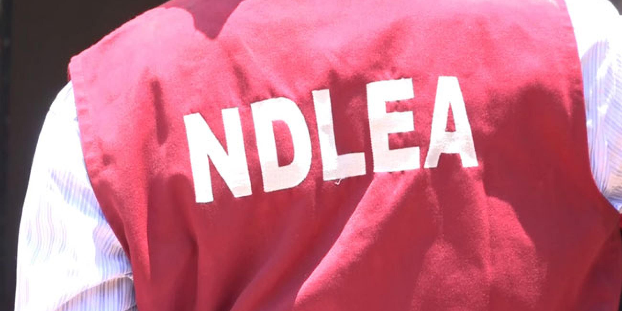 Two NDLEA Operatives Arrested For Allegedly Killing 19-Year-Old Woman In Kano